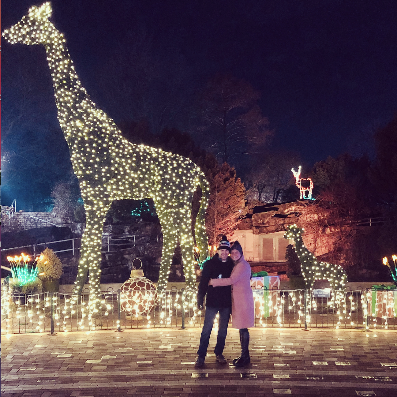 Brittany's two favorite things: Giraffes and Jimmy