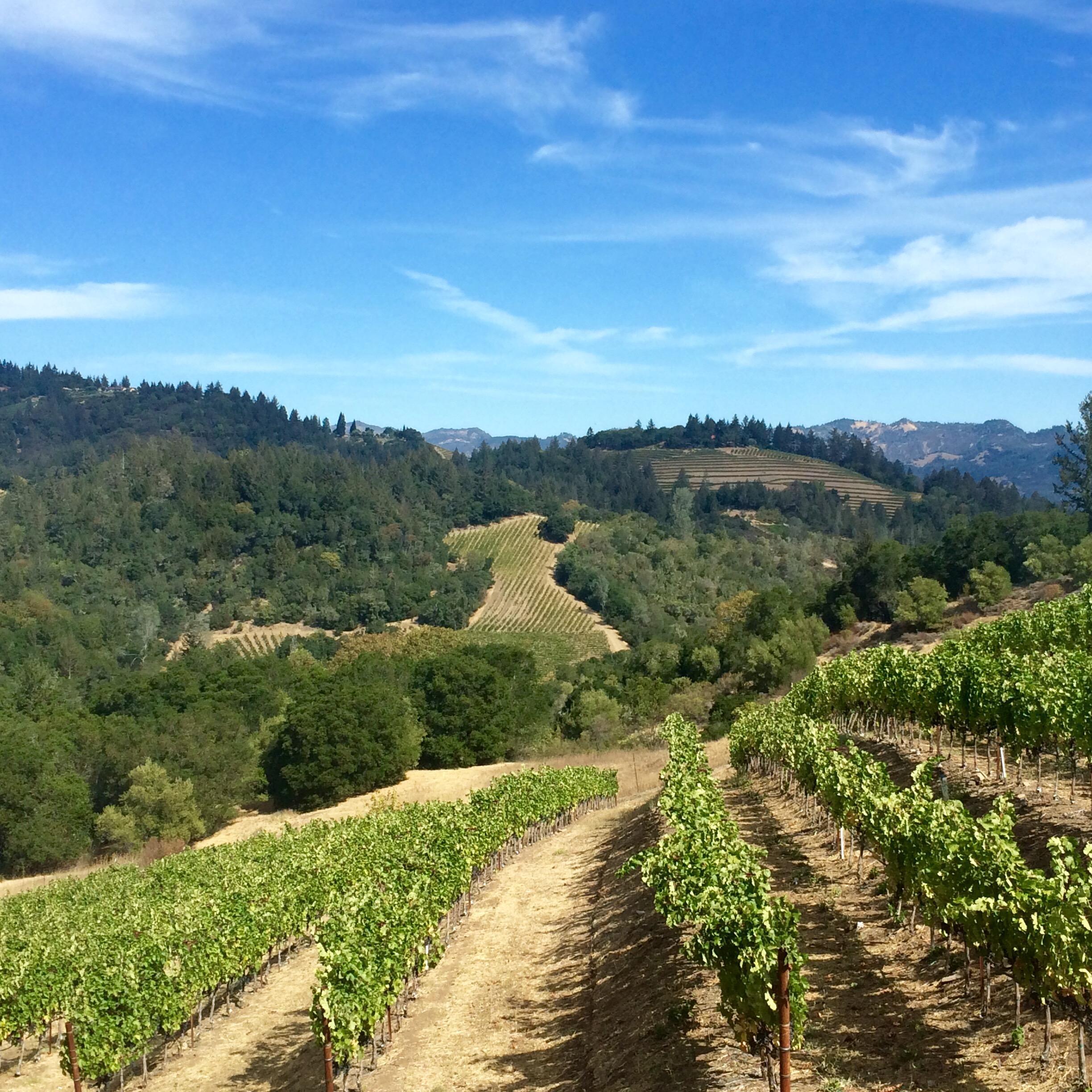 Napa Valley