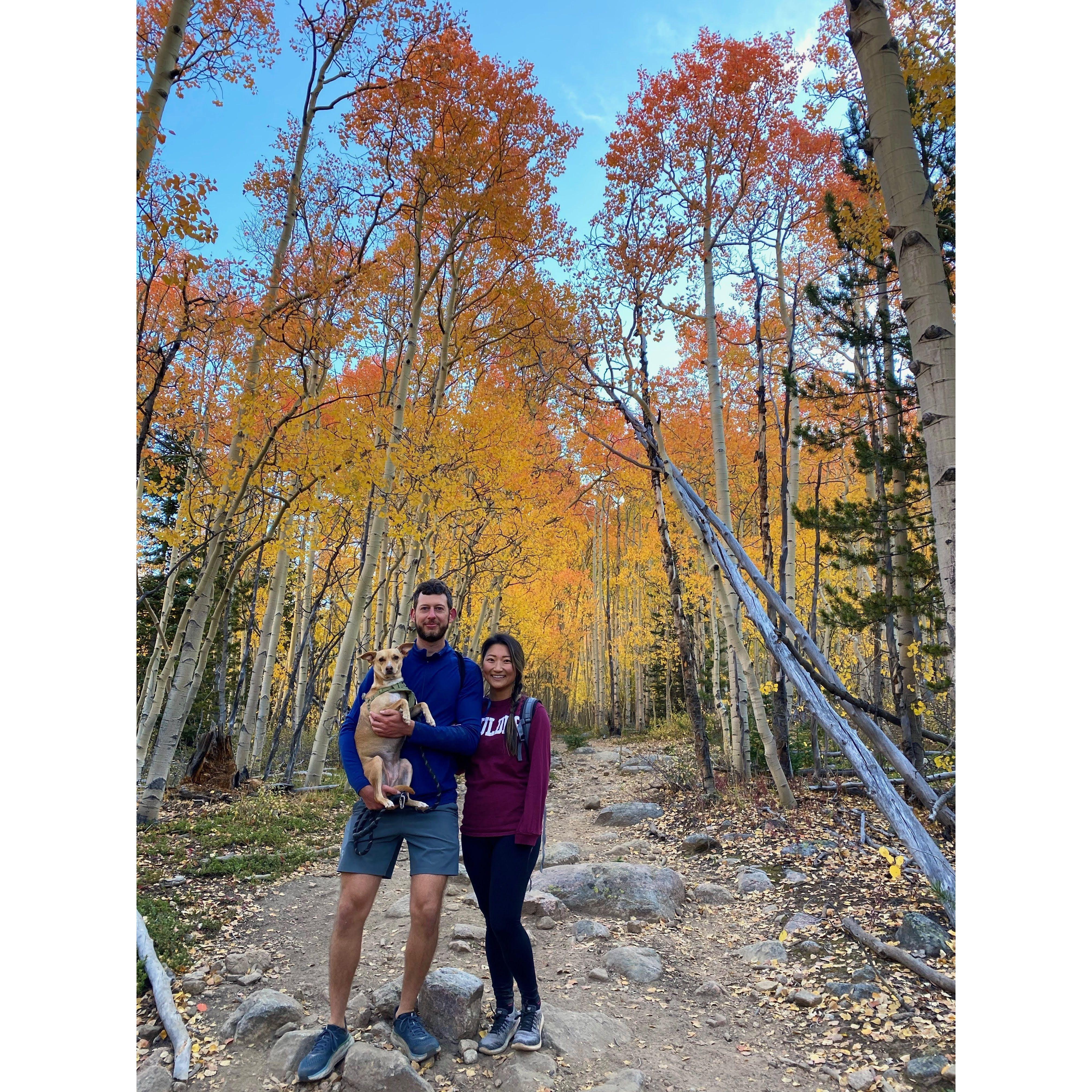 Fall colors of Colorado.