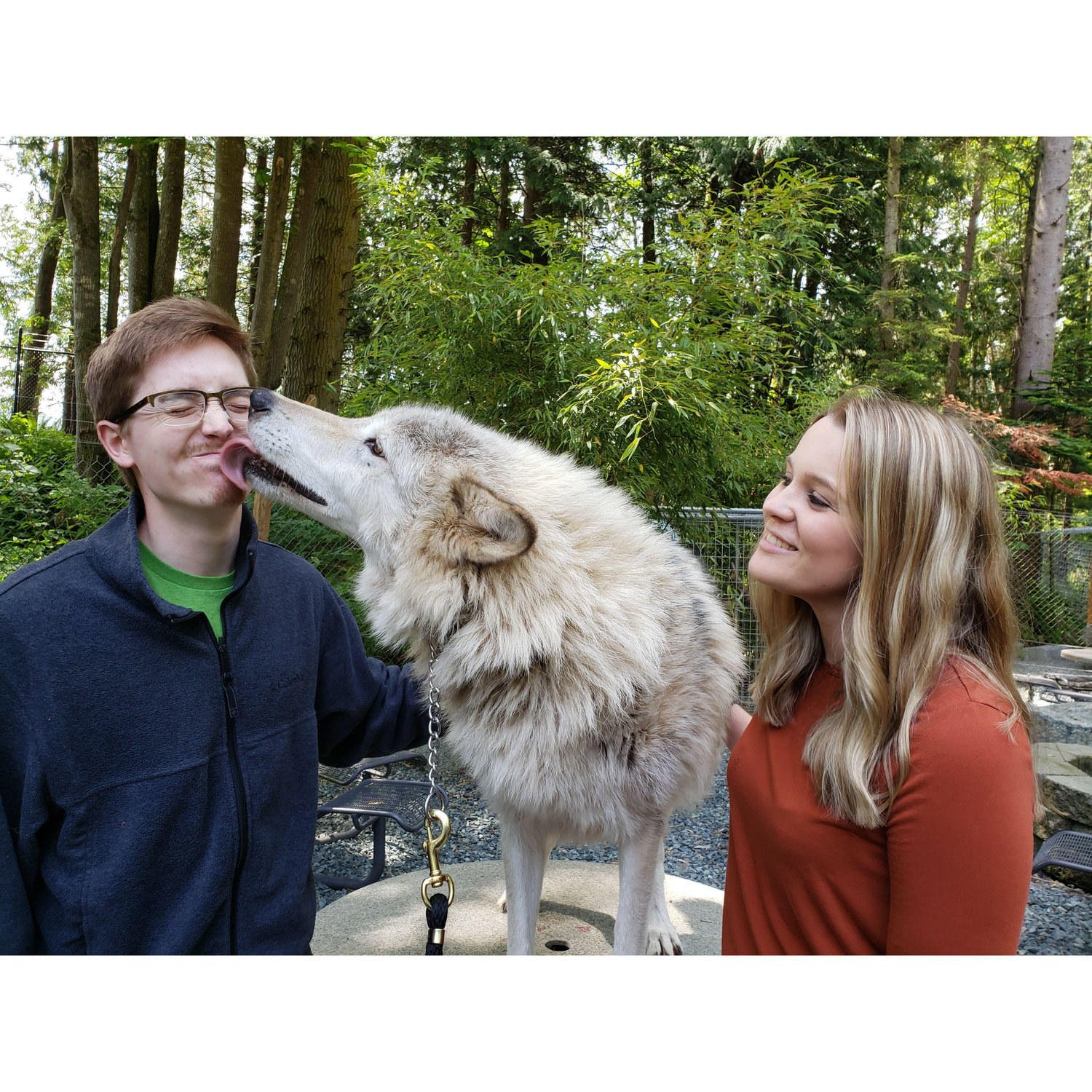2019 - Predators of the Heart wolf encounter for Nick's birthday