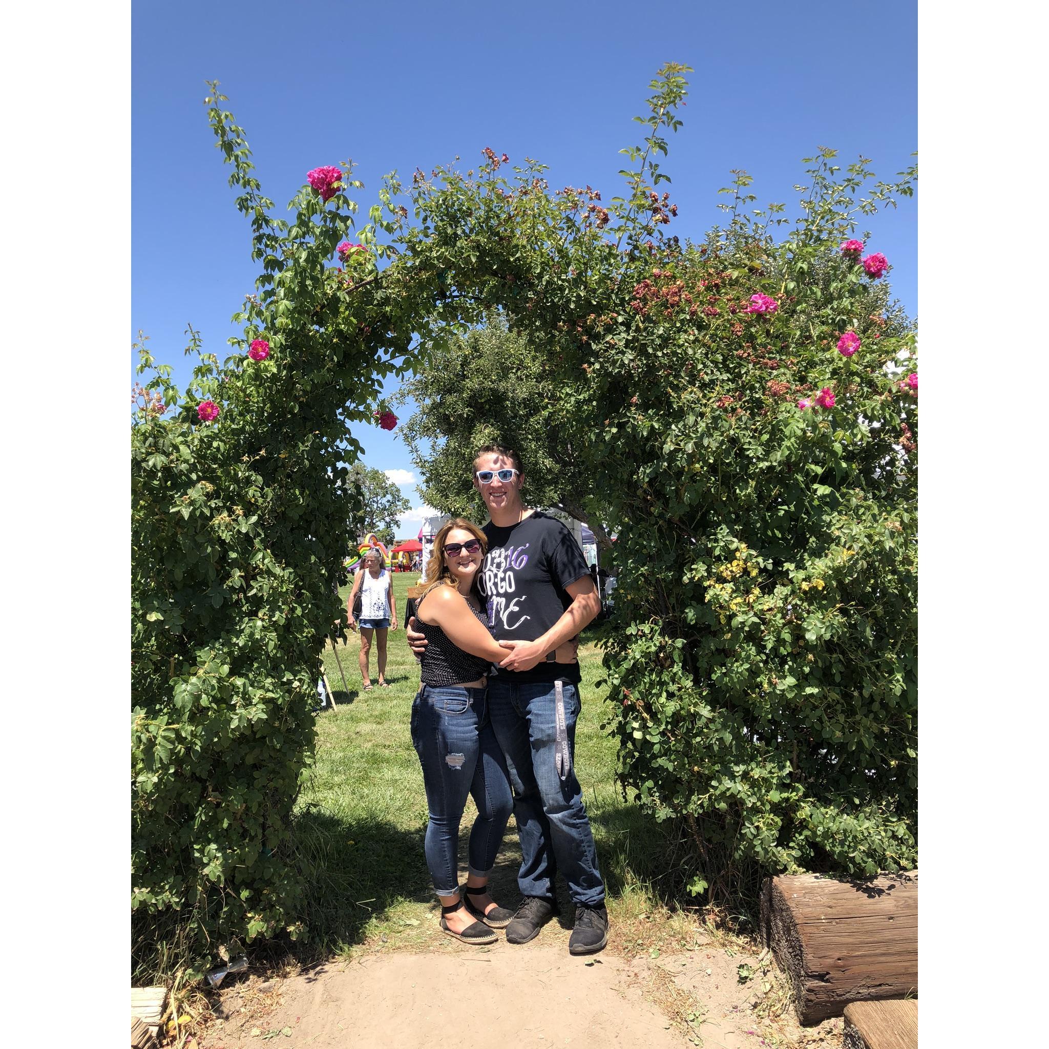 Sunflower festival