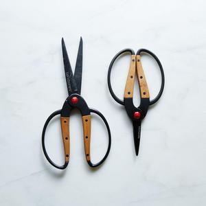 Garden Scissors (size large)
