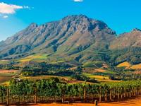 Stellenbosch and Franschoek