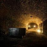 American Legacy Tours