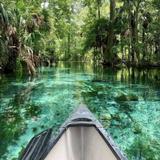 Silver Springs State Park