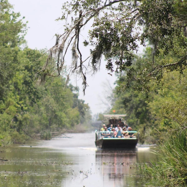Bayou On Our Honeymoon!