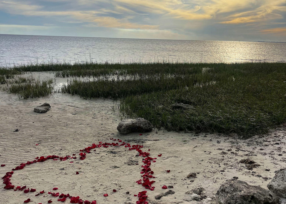 Hero image 1