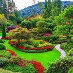 Butchart Gardens