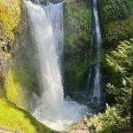 Gifford Pinchot National Forest