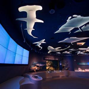 New York Aquarium