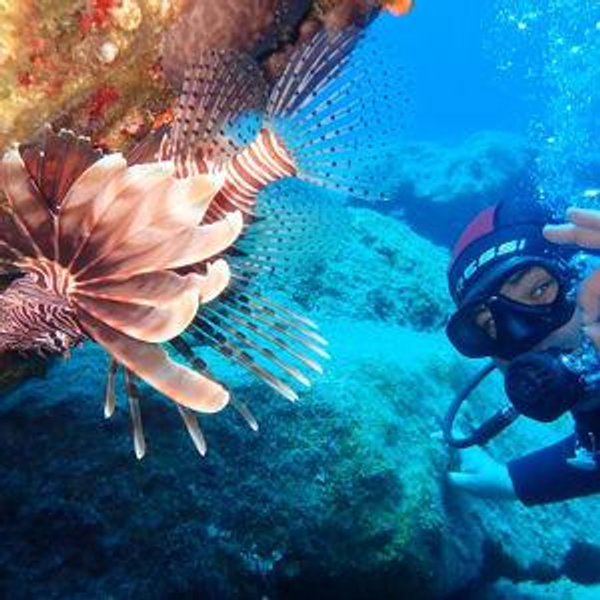 Scuba Diving in Kos