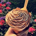 Wild Scoops