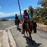 Colon Horseback Riding