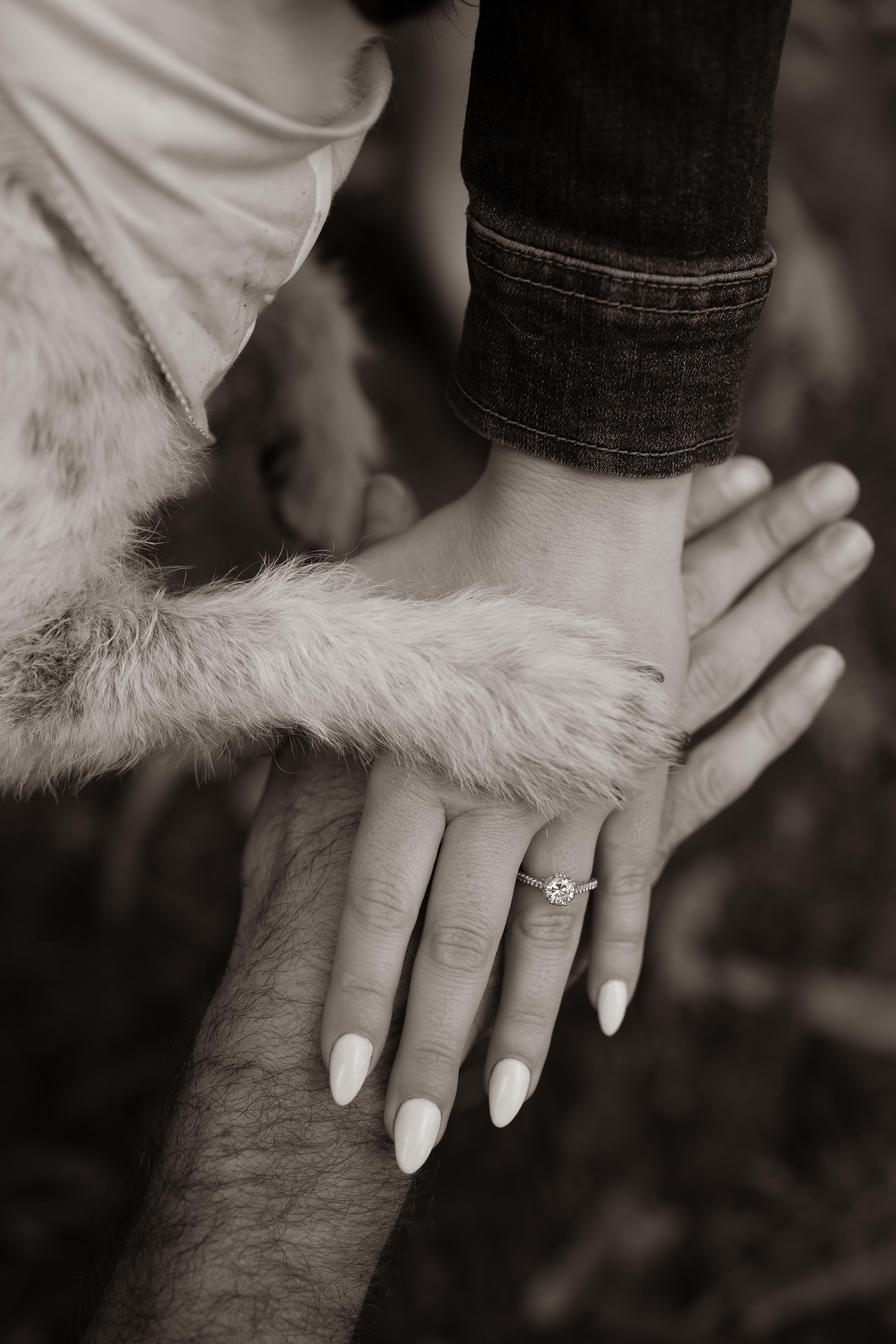 The Wedding Website of Sara Saltoun Weiner and Jordan Donny Weller