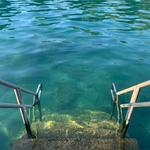 Barton Springs Municipal Pool
