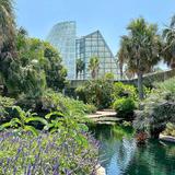 San Antonio Botanical Garden
