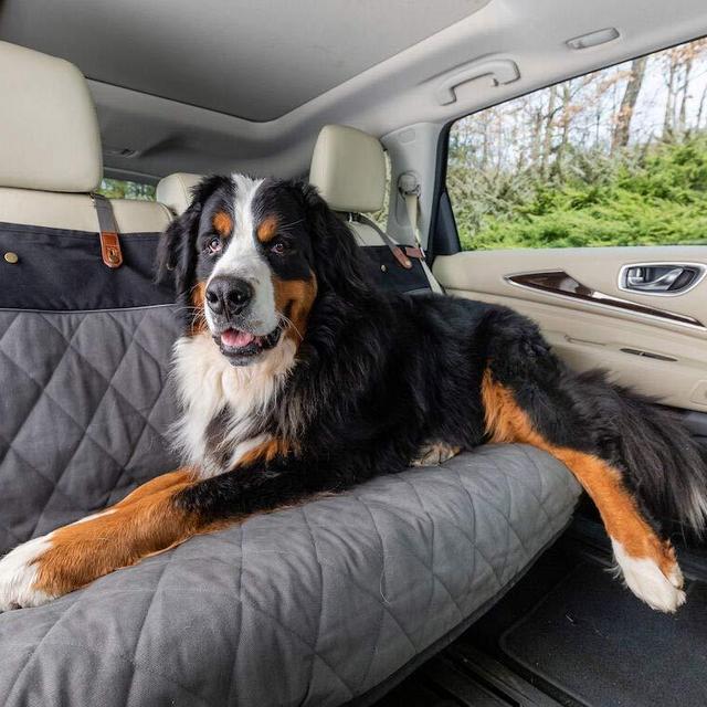PetSafe Happy Ride Quilted Bucket Seat Cover - Fits Cars, Trucks, Minivans and SUVs