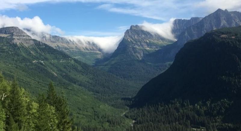 The Wedding Website of Danielle Yoder and Tudor Chesaru