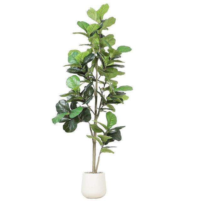 Jocoevol Artificial Fiddle Leaf Tree, 7ft Faux Plant Fake Ficus Lyrata Trees with White Planter, Artificial Fig Trees Floor Plants for House Office Living Room Indoor Home Decor, Housewarming Gift