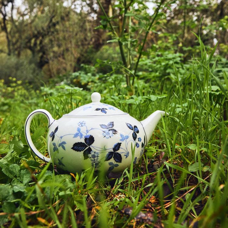 食器 1358 /WILD STRAWBERRY Wild Strawberry Teacup & Saucer by Wedgwood – Sallie Home