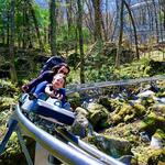Wilderness Run Alpine Coaster
