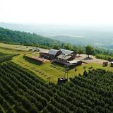 Carter Mountain Orchard and Country Store