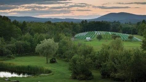 The Wedding Website of Linda York and Michael Freeman