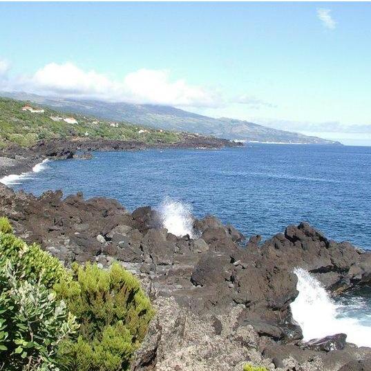 A view of Pico, showing the beautiful contrast of the lava rock, greenery, and ocean.