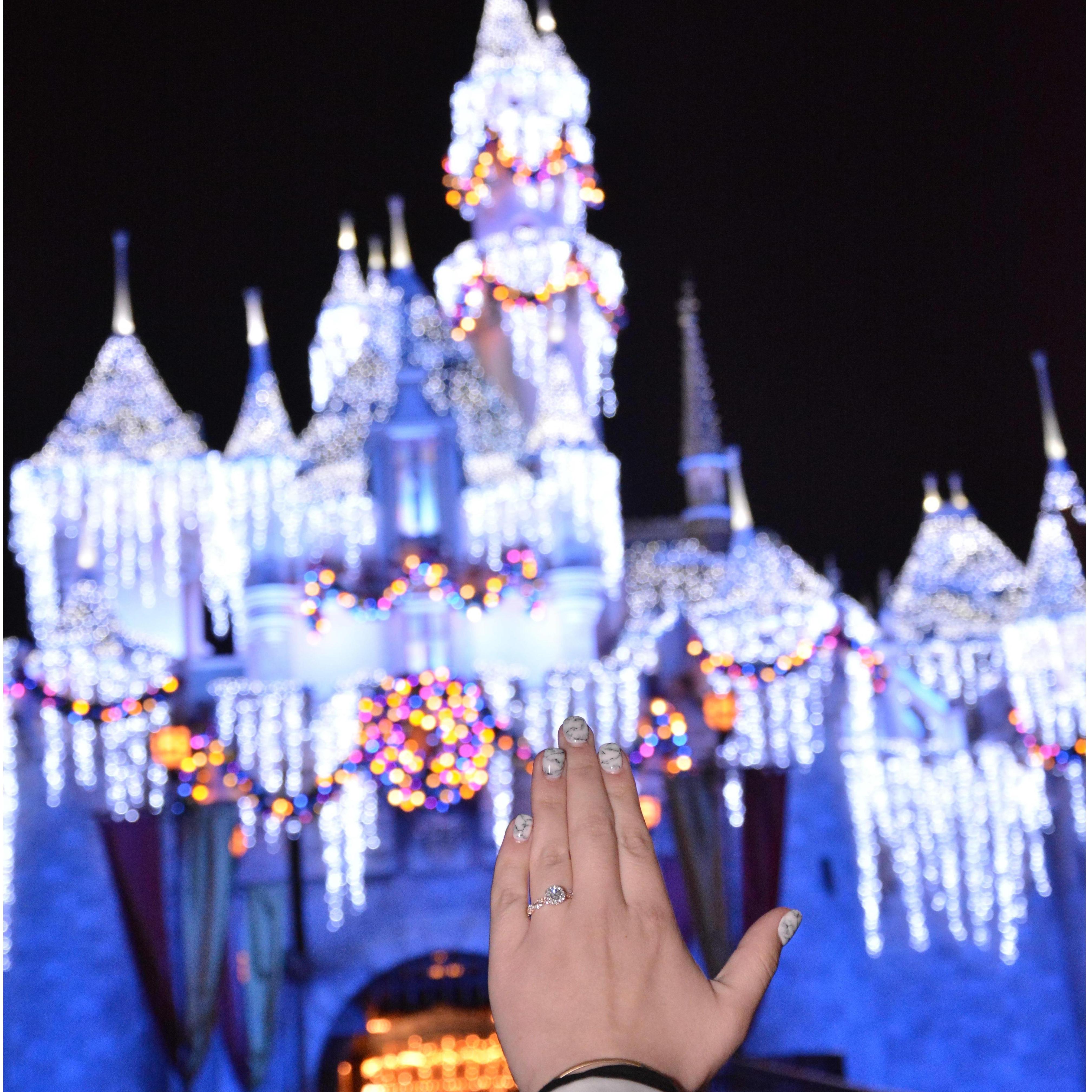 A ring photo op with the castle.