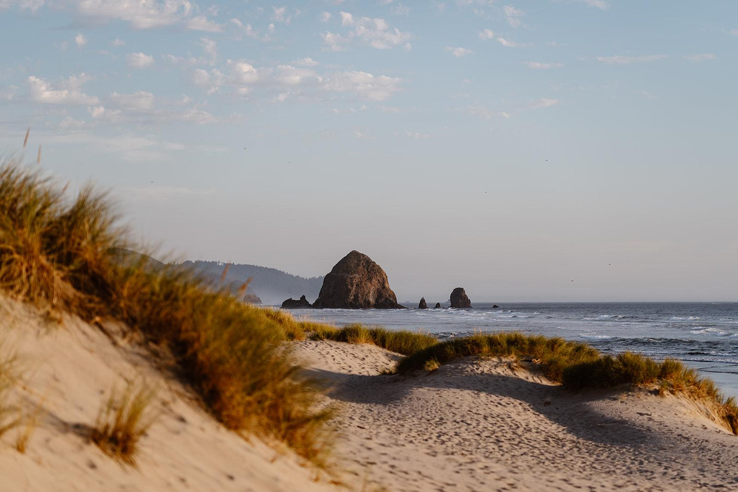 The Wedding Website of Sam Rouse and Sean Hernandez