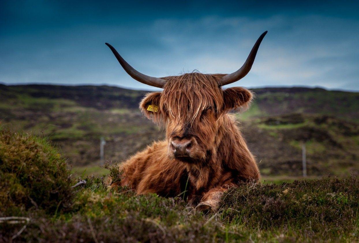 The Wedding Website of Dr. Paige Lynch and Robert Newton