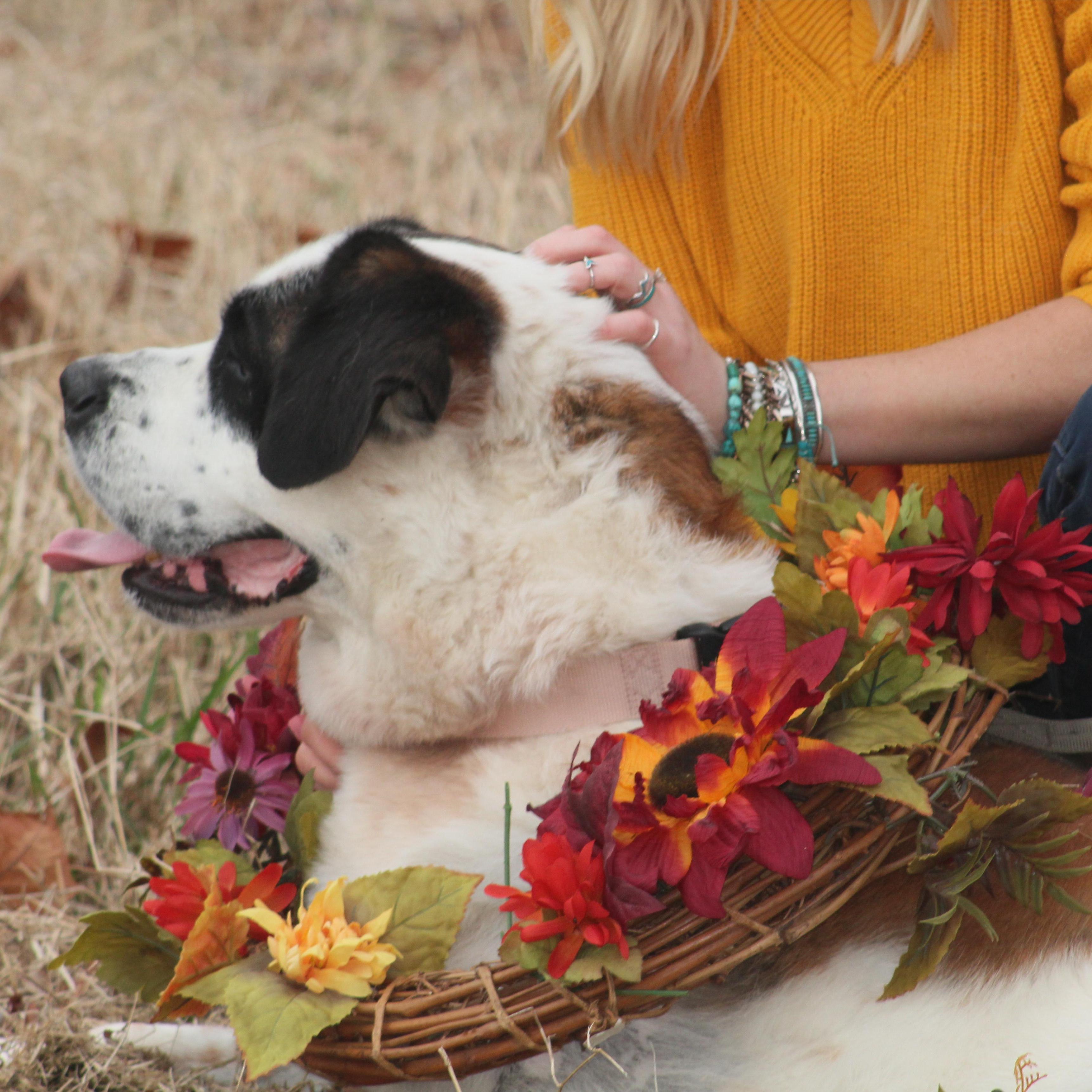 Save the Date Photo Shoot!
