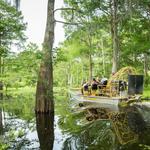 Cajun Pride Swamp Tours