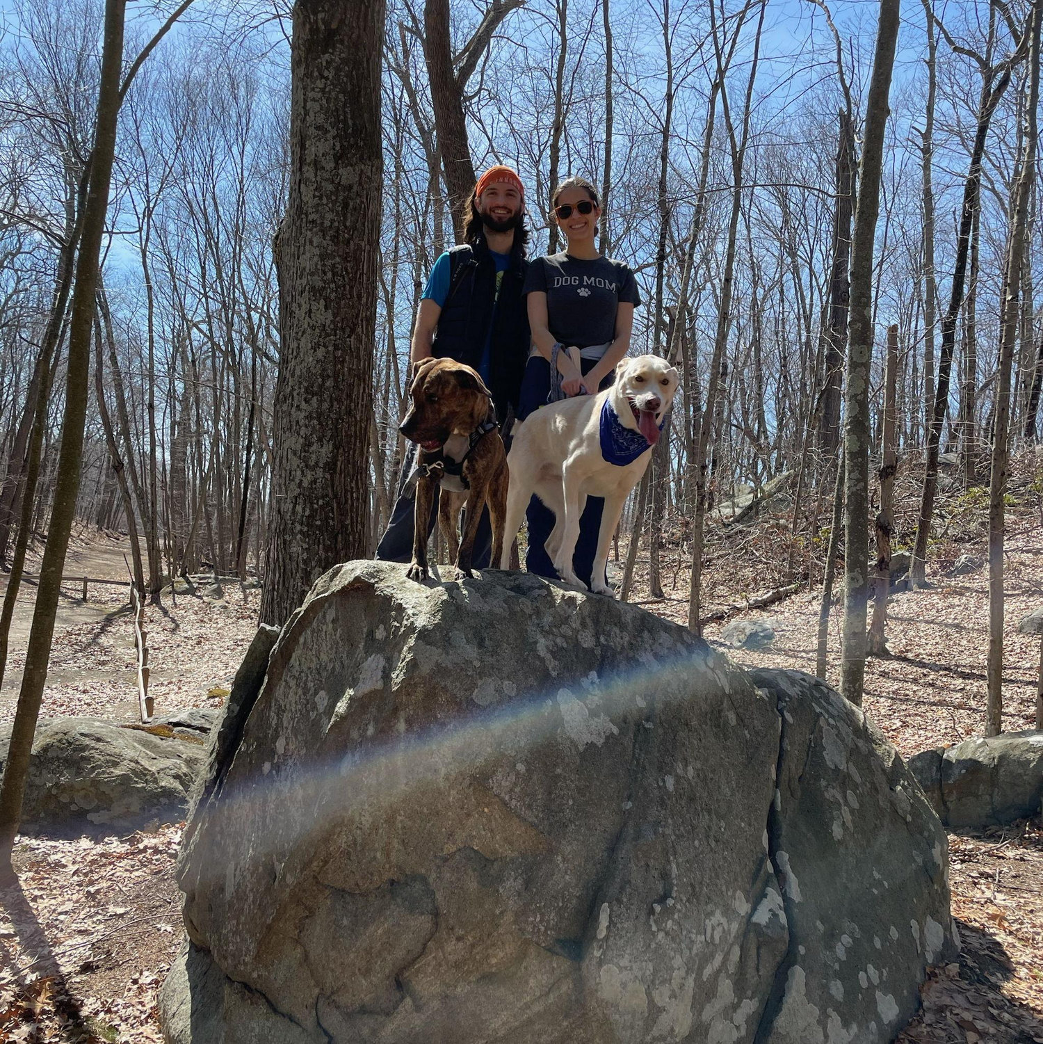 Lincoln Woods
