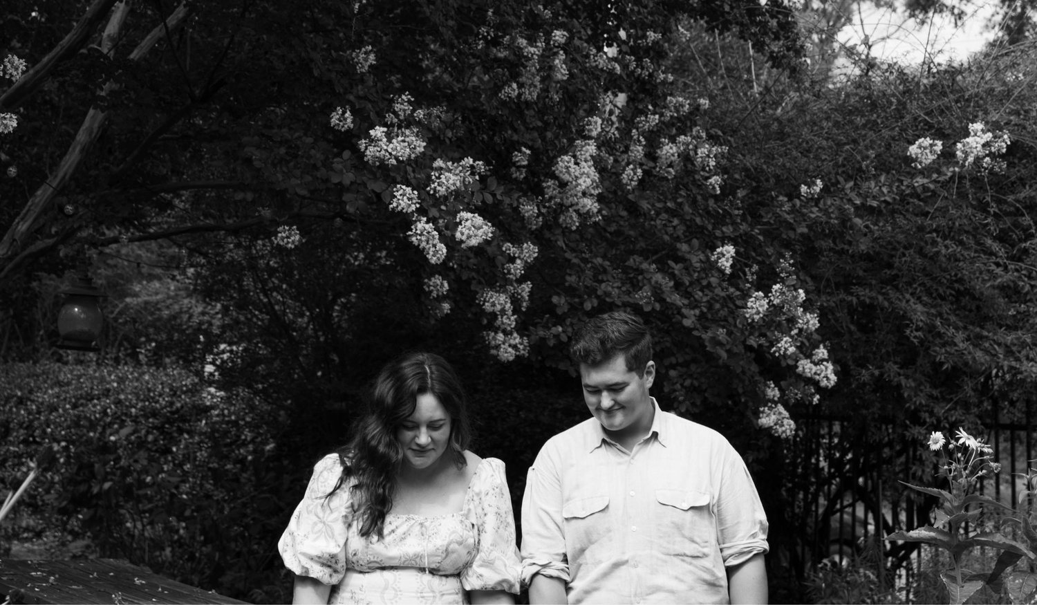 The Wedding Website of Nathan Talarico and Meghan Lee