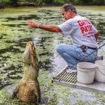 Swamp Tour New Orleans