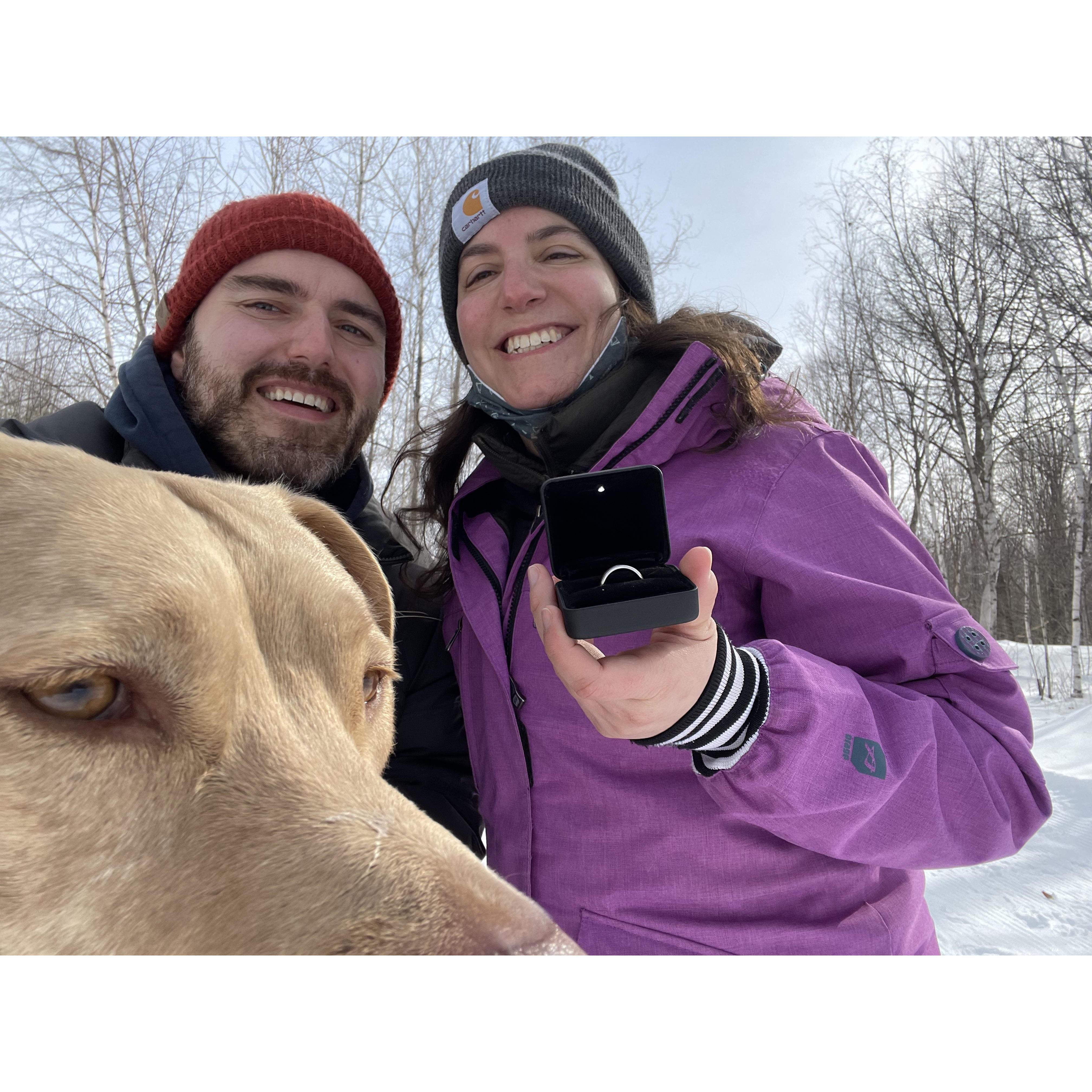 Proposal in Conway, NH