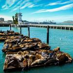 Fisherman's Wharf