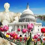 Washington D.C. Sights