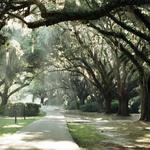 Charles Towne Landing State Historic Site