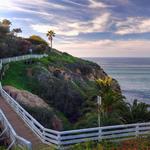 Coast Walk Trail