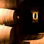Sandeman Museum-Cellar