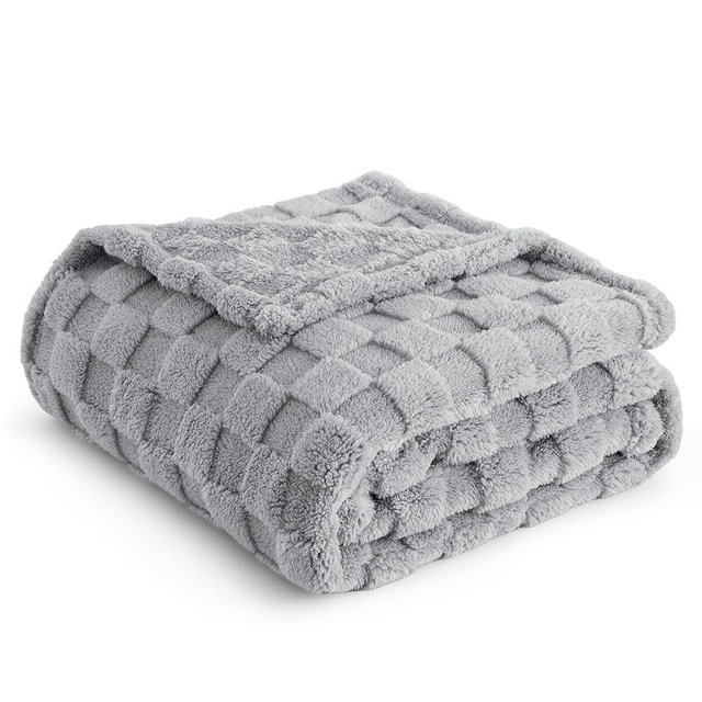 Bedsure Silver Grey Throw Blanket for Couch - Super Soft Cozy Blankets for Women, Cute Small Fleece Blanket for Girls, 50x60 Inches