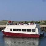 Lobster Roll Cruises