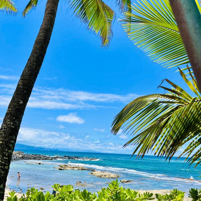 Maui Airbnb!