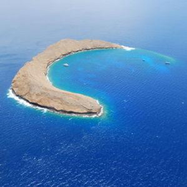 Snorkeling at the Molokini Crater in Maui