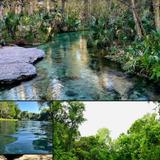 Kelly Park/Rock Springs
