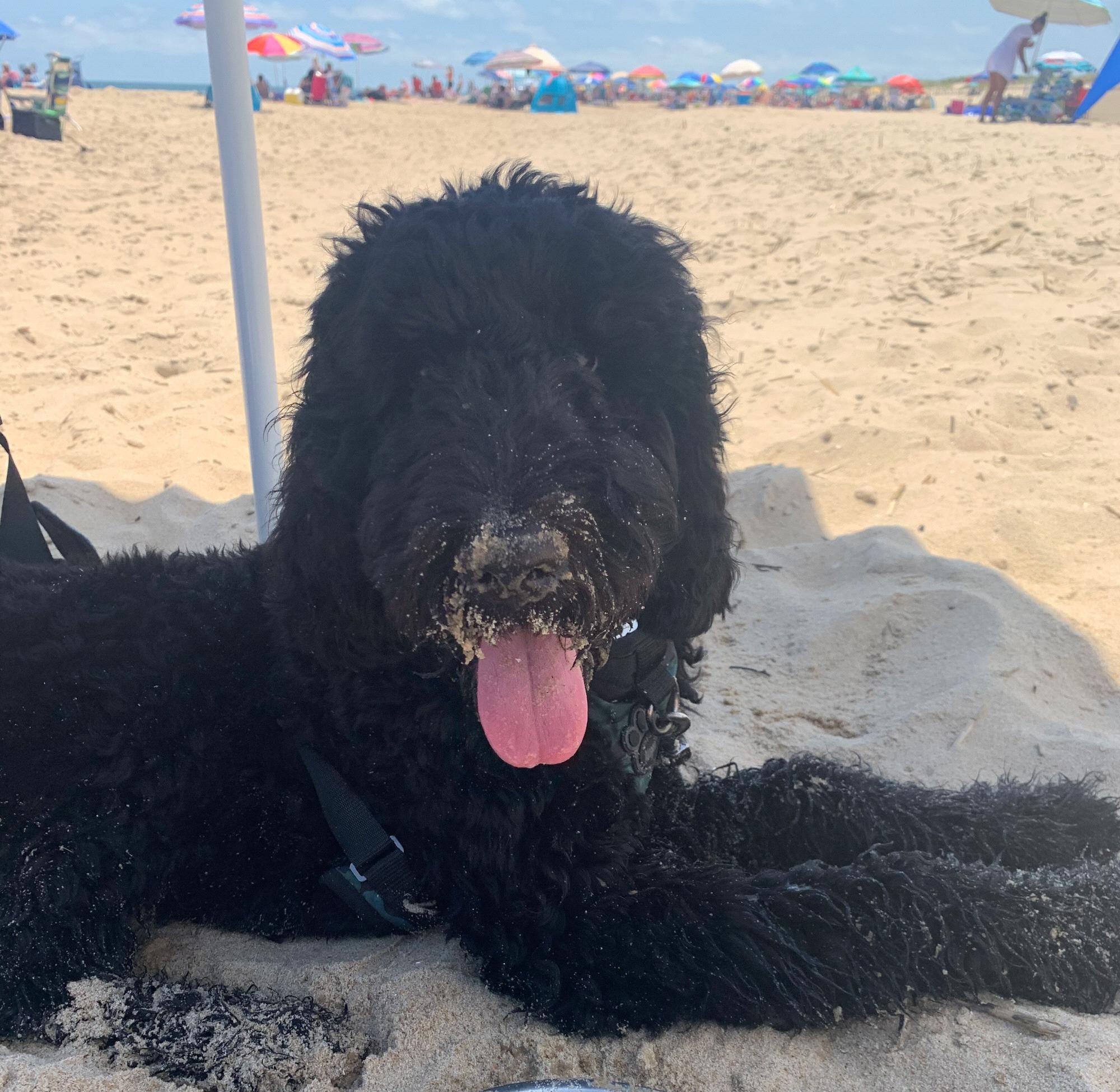 Fenwick Beach July 2020