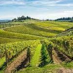 Wine Tasting in Chianti