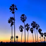 Venice Beach Boardwalk & Canals